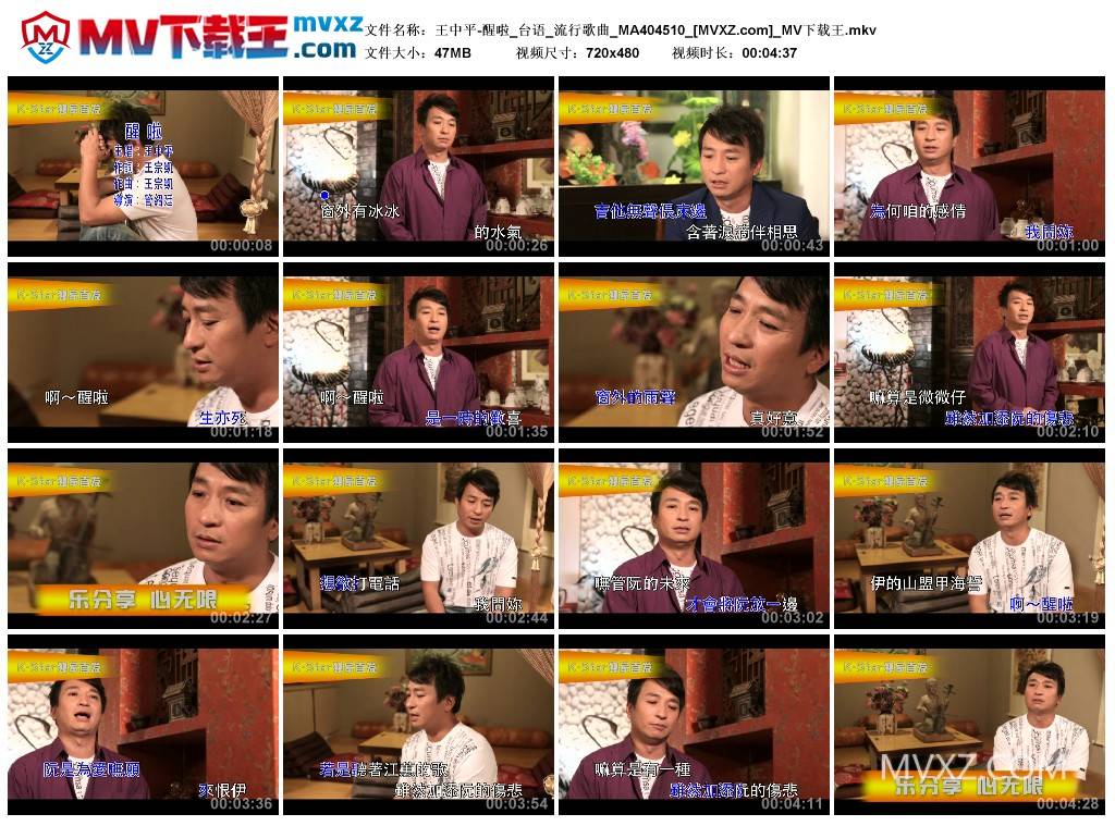 王中平-醒啦_台语_流行歌曲_MA404510